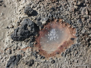 Salinelle_del_Fiume - 17-02-2013 11-37-26.JPG
